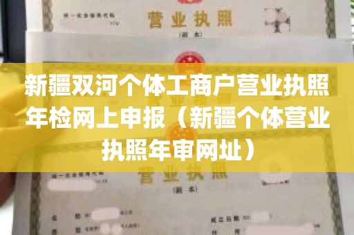 新疆双河个体工商户营业执照年检网上申报（新疆个体营业执照年审网址）