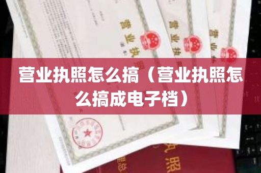 营业执照怎么搞（营业执照怎么搞成电子档）