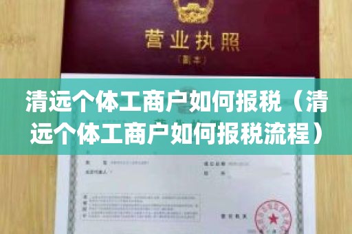 清远个体工商户如何报税（清远个体工商户如何报税流程）