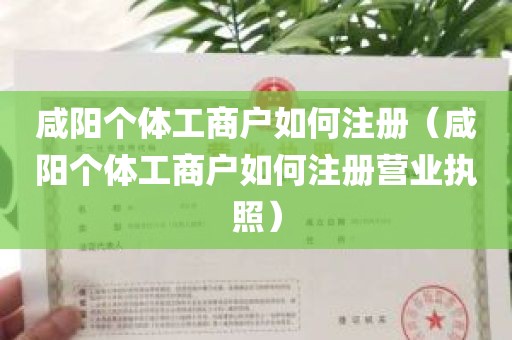 咸阳个体工商户如何注册（咸阳个体工商户如何注册营业执照）