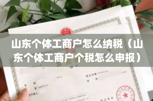 山东个体工商户怎么纳税（山东个体工商户个税怎么申报）