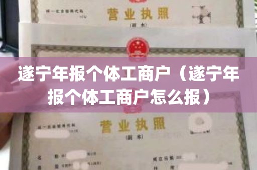 遂宁年报个体工商户（遂宁年报个体工商户怎么报）