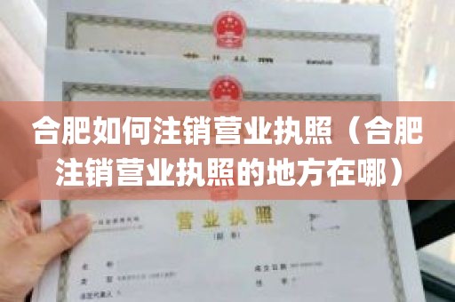 合肥如何注销营业执照（合肥注销营业执照的地方在哪）