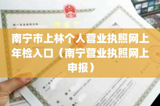 南宁市上林个人营业执照网上年检入口（南宁营业执照网上申报）