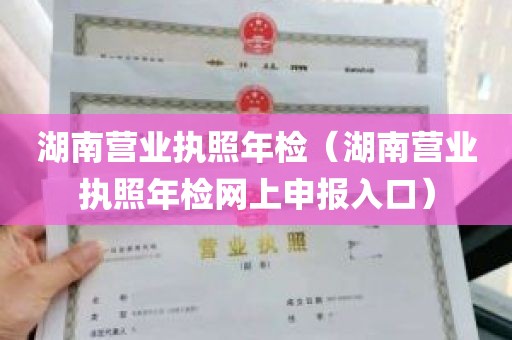 湖南营业执照年检（湖南营业执照年检网上申报入口）