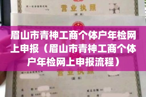 眉山市青神工商个体户年检网上申报（眉山市青神工商个体户年检网上申报流程）