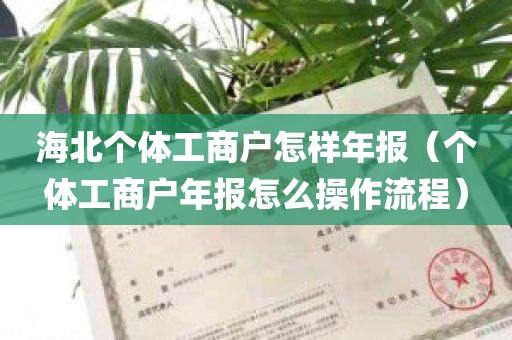 海北个体工商户怎样年报（个体工商户年报怎么操作流程）