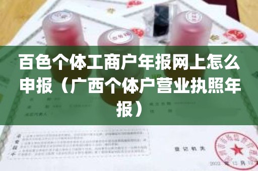 百色个体工商户年报网上怎么申报（广西个体户营业执照年报）