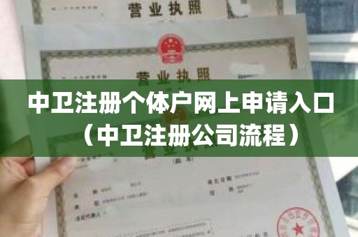 中卫注册个体户网上申请入口（中卫注册公司流程）