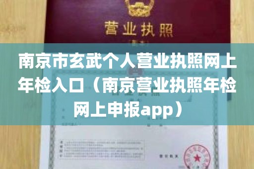 南京市玄武个人营业执照网上年检入口（南京营业执照年检网上申报app）