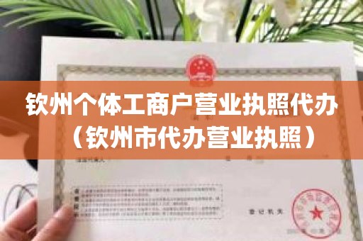 钦州个体工商户营业执照代办（钦州市代办营业执照）