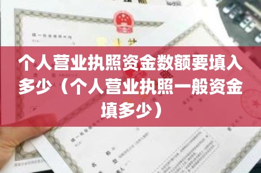 个人营业执照资金数额要填入多少（个人营业执照一般资金填多少）