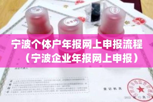 宁波个体户年报网上申报流程（宁波企业年报网上申报）