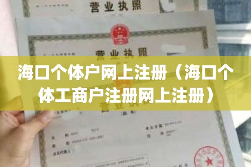 海口个体户网上注册（海口个体工商户注册网上注册）