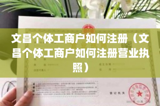 文昌个体工商户如何注册（文昌个体工商户如何注册营业执照）