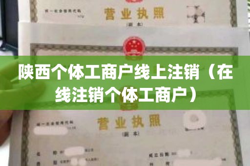 陕西个体工商户线上注销（在线注销个体工商户）