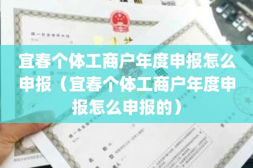 宜春个体工商户年度申报怎么申报（宜春个体工商户年度申报怎么申报的）