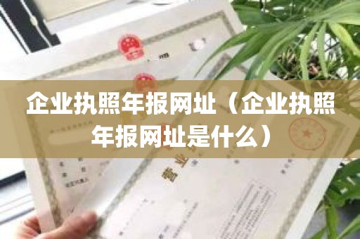 企业执照年报网址（企业执照年报网址是什么）