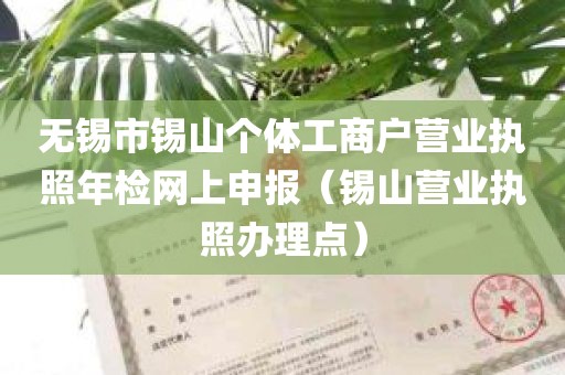 无锡市锡山个体工商户营业执照年检网上申报（锡山营业执照办理点）