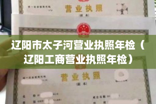 辽阳市太子河营业执照年检（辽阳工商营业执照年检）