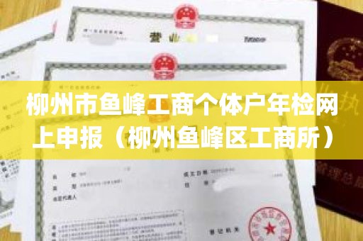 柳州市鱼峰工商个体户年检网上申报（柳州鱼峰区工商所）