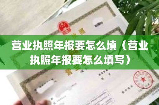 营业执照年报要怎么填（营业执照年报要怎么填写）