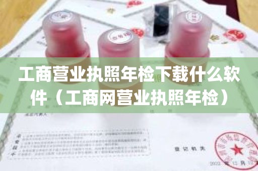 工商营业执照年检下载什么软件（工商网营业执照年检）