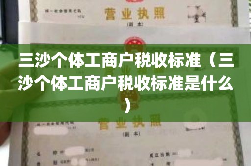 三沙个体工商户税收标准（三沙个体工商户税收标准是什么）