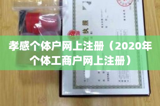 孝感个体户网上注册（2020年个体工商户网上注册）