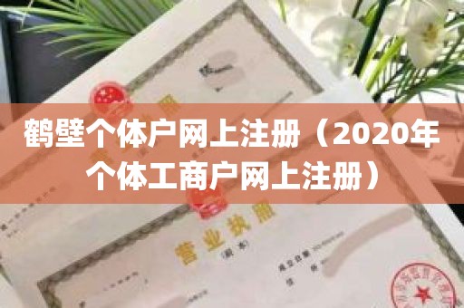 鹤壁个体户网上注册（2020年个体工商户网上注册）