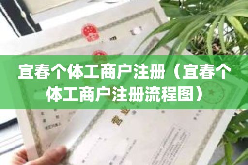 宜春个体工商户注册（宜春个体工商户注册流程图）