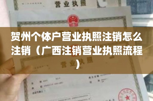 贺州个体户营业执照注销怎么注销（广西注销营业执照流程）