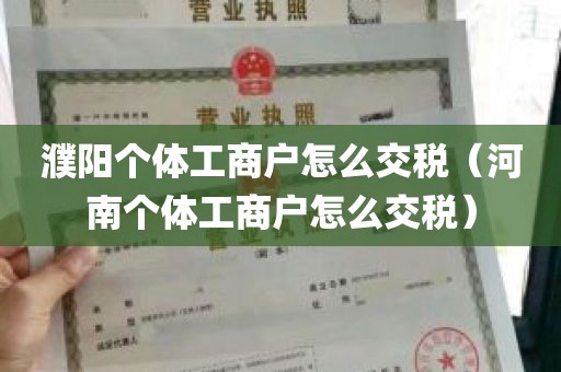 濮阳个体工商户怎么交税（河南个体工商户怎么交税）