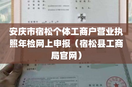 安庆市宿松个体工商户营业执照年检网上申报（宿松县工商局官网）