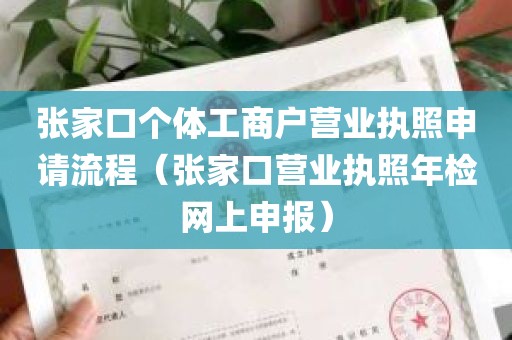 张家口个体工商户营业执照申请流程（张家口营业执照年检网上申报）