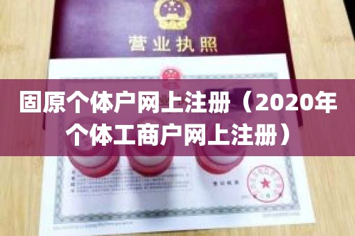 固原个体户网上注册（2020年个体工商户网上注册）