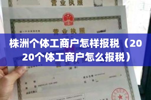 株洲个体工商户怎样报税（2020个体工商户怎么报税）