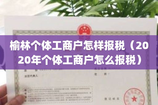 榆林个体工商户怎样报税（2020年个体工商户怎么报税）