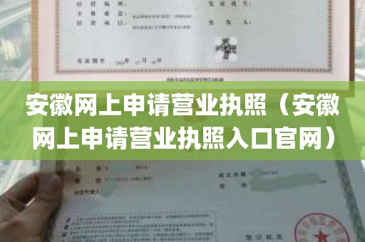 安徽网上申请营业执照（安徽网上申请营业执照入口官网）