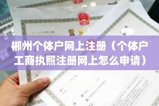 郴州个体户网上注册（个体户工商执照注册网上怎么申请）