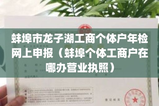 蚌埠市龙子湖工商个体户年检网上申报（蚌埠个体工商户在哪办营业执照）