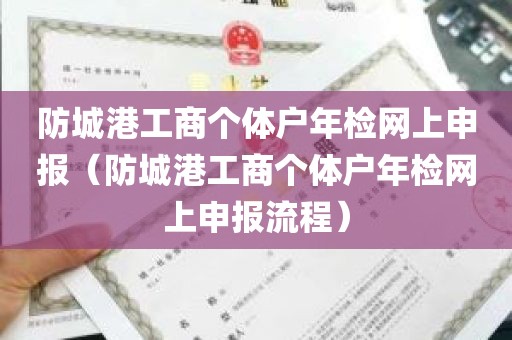 防城港工商个体户年检网上申报（防城港工商个体户年检网上申报流程）