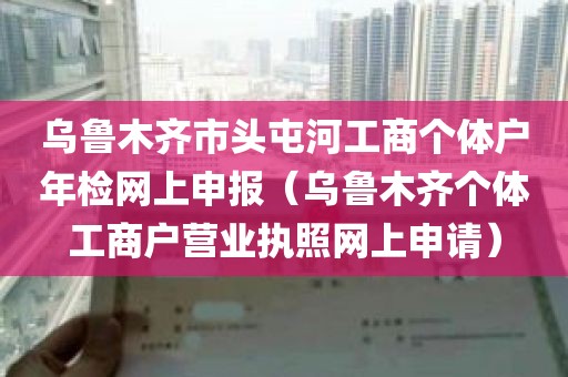 乌鲁木齐市头屯河工商个体户年检网上申报（乌鲁木齐个体工商户营业执照网上申请）