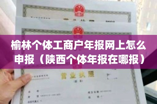 榆林个体工商户年报网上怎么申报（陕西个体年报在哪报）