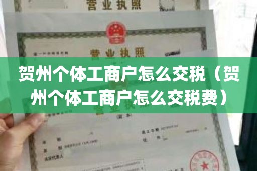 贺州个体工商户怎么交税（贺州个体工商户怎么交税费）