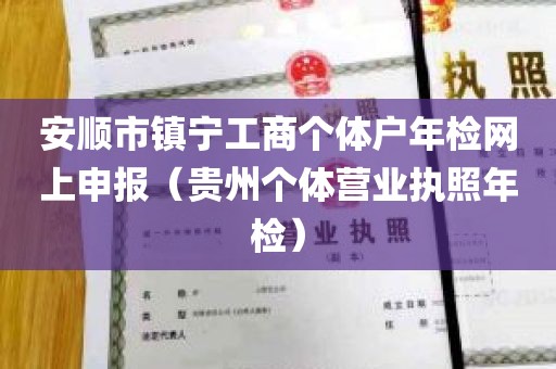 安顺市镇宁工商个体户年检网上申报（贵州个体营业执照年检）