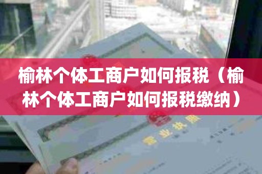 榆林个体工商户如何报税（榆林个体工商户如何报税缴纳）