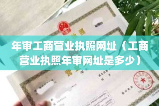 年审工商营业执照网址（工商营业执照年审网址是多少）