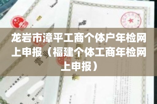 龙岩市漳平工商个体户年检网上申报（福建个体工商年检网上申报）