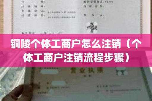 铜陵个体工商户怎么注销（个体工商户注销流程步骤）